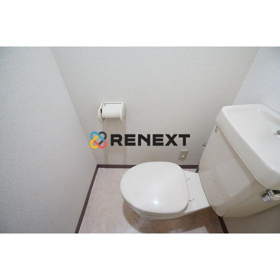 lorem ipsum dolor sit